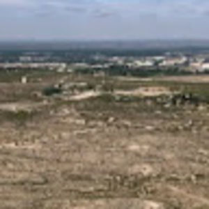 Meet your Posher, Maggie